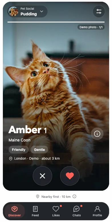 PetSocial(现名 HelloTail)界面展示
